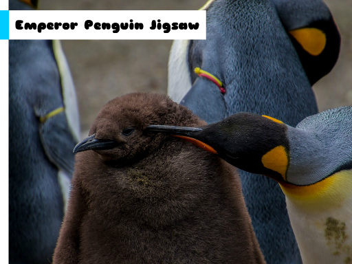 Emperor Penguin Jigsaw