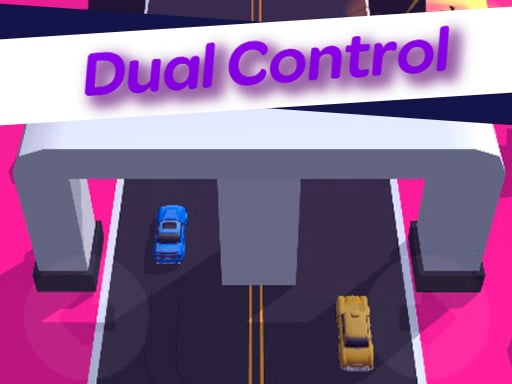 Dual Control 3d