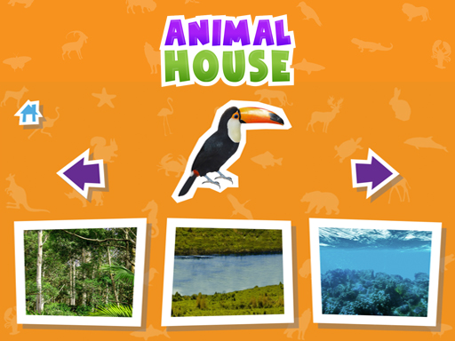 Animal  House Game