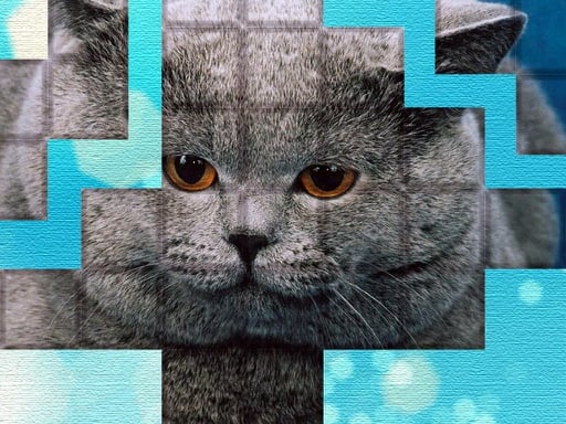 Picpu - Cat Puzzle